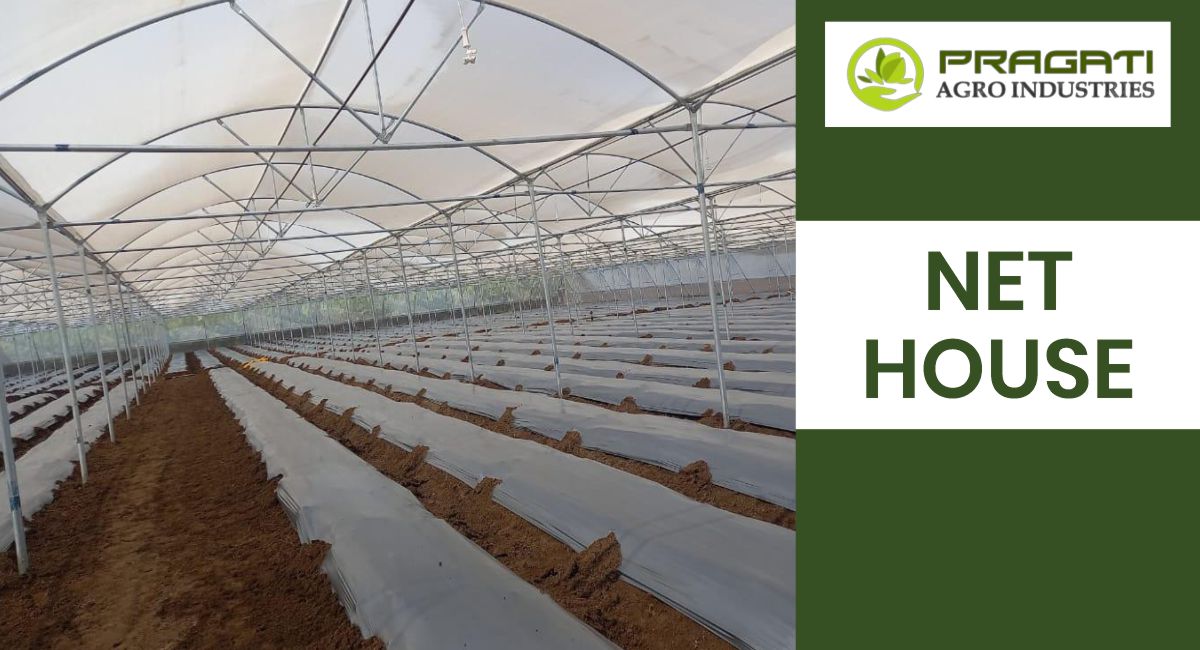 Pragati Agro Industries: Advanced Nethouse Solutions for Optimal Crop Growth and Protection